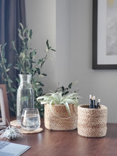 Load image into Gallery viewer, Kata Bin