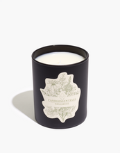 Load image into Gallery viewer, Indulgence | Oakmoss & Bergamot