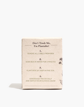 Load image into Gallery viewer, Indulgence | Oakmoss & Bergamot