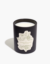 Load image into Gallery viewer, Sweet Earth | Brown Sugar & Fig