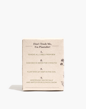 Load image into Gallery viewer, Sweet Earth | Brown Sugar & Fig