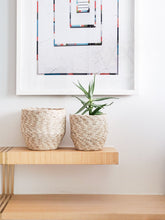 Load image into Gallery viewer, Agora Bin